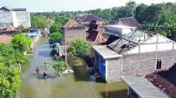 Banjir Makin Parah, Warga Sukorejo Grobogan Bertahan di Rumah, Ribuan Ternak Dievakuasi