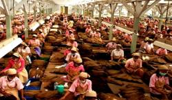 Kampanye Anti-Rokok di Indonesia Masif, Bukti LSM Ingin Hancurkan IHT?