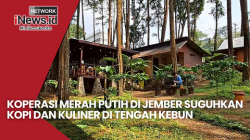Koperasi Merah Putih di Jember Suguhkan Kopi dan Kuliner di Tengah Kebun