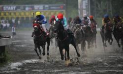 King Argentine Menang Lagi, Tinggal Selangkah Menuju Triple Crown