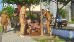 Andi Utta Bikin Kantor Bupati Jadi Rindang, 100 Hari Kerja Tanam 1000 Pohon Produktif