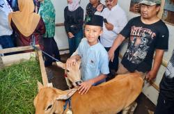 Viral! Bocah SD di Malang Ingin Ternak Sapi, Khofifah Hadiahkan Sepasang Pedet untuk Wujudkan Mimpi