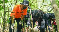 Puluhan Siswa Sekolah Tanam Ribuan Bibit Mangrove di Wonorejo