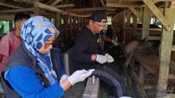 Ratusan Hewan Kurban Diperiksa Petugas: Pastikan Aman dari Penyakit