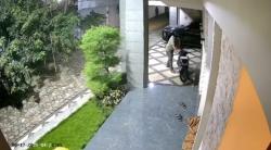 Viral Terekam CCTV, Komplotan Pencuri Berhasil Bawa Kabur  Motor Matic