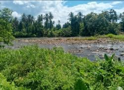 Abrasi Aliran Sungai Krueng Meuredu, Puluhan Hektar Lahan Pertanian Pidie Jaya Terimbas