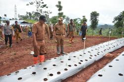 PETAPA RAJA, Terobosan Sumedang Berdayakan Buruh Tani Tanpa Lahan