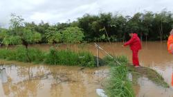 Seorang Nenek Tewas Tenggelam Saat Cari Ikan di Lokasi Banjir Sukaresik Tasikmalaya