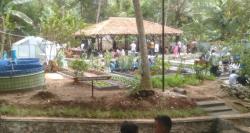 Program Ketahanan Pangan Nasional di Desa Telaga Kecamatan Mancak Jadi Percontohan