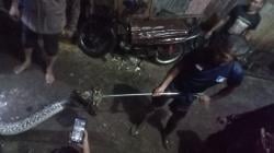 Heboh! Ular Piton 6 Meter Masuk Permukiman Warga, Damkar Sinjai Turun Tangan