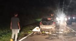 Geger! Kawanan Gajah Mengamuk dan Hancurkan Mobil di Malaysia, Ada Unsur Balas Dendam?