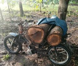 Upaya Illegal Logging Digagalkan di Banyuwangi Selatan, Pelaku Tinggalkan Kayu Jati dan Sepeda Motor
