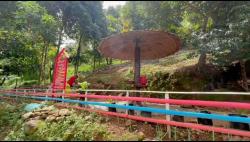 Dari Nol ke Destinasi: Kisah Sukses 'Rumah Jamur' di Sinjai Tengah