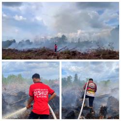 Hampir Setengah Hektare Lahan Terbakar di Sabangau Palangka Raya, Pemadaman Terkendala Akses Jalan