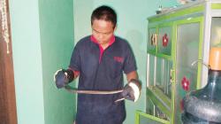 Ular Tanah Masuk Rumah Warga, Tim Animal Rescue Damkar Dishut Kalteng Lakukan Evakuasi