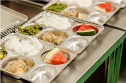 MBG Risiko Keracunan? DPR Desak BPOM dan BGN Awasi Ketat Bahan Food Tray Impor, Dorong Produk Lokal!