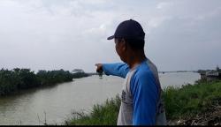 Petani di Babat Lamongan Gagal Panen Akibat Banjir, Kerugian Capai Ratusan Juta