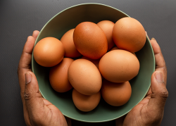 Sarapan Dua Butir Telur Tiap Hari? Ini yang Akan Terjadi pada Tubuh Anda