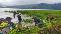 Dibantu TNI, Eceng Gondok Perusak Ekosistem Danau Toba Disulap Menjadi Pupuk Organik