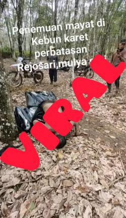 Viral! Warga Temukan Mayat di Dalam Kebun Karet Rejo Sari Negeri Agung