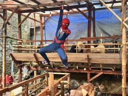 Spider-Man Gabut di Semarang Alih Profesi Jadi Penjual Kambing Jelang Idul Adha