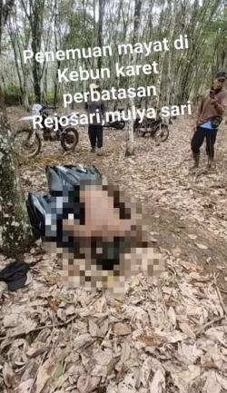 Viral! Warga Temukan Mayat di Dalam Kebun Karet Rejo Sari Negeri Agung