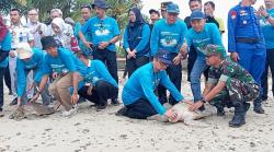 Pelepasliaran Penyu Dirjen Pengelolaan Kelautan KKP Dukung Kelestarian Laut Pantai Carita Pandeglang