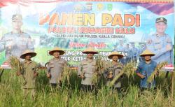 Program Ketahanan Pangan, Kapolres Inhu Panen Padi di Kuala Cenaku