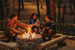 Tangkal Pinus: Saat Alam, Musik, dan Rasa Berpadu dalam Satu Destinasi Wisata Lembang