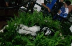 Konvoi Kemenangan Persib Bandung Telan Korban, Satu Bobotoh Tewas Jatuh dari Flyover Pasupati
