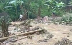 Diduga Tertimpa Material Longsor, Seorang Petani di Lembang Belum Ditemukan