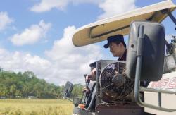 Gunakan Alsintan Combine Harvester, Bupati Bengkulu Utara Gelar Panen Raya di Karya Jaya
