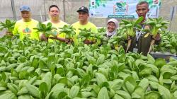 See-U Bangun Green House Toga dan Revitalisasi Rumah Hidroponik di Rusun Warugunung Surabaya