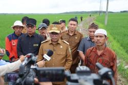 Gubernur Andra Soni Tinjau Lokasi Program JUT di Wanasalam, 1.147 Hektare Lahan Akan Terkoneksi