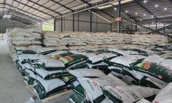 Nusa Palapa Gemilang Tbk Bangkit dari Kelesuan, Raup Untung Rp896 Juta di Q1 2025