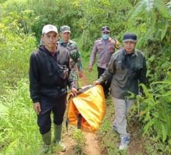 Diterkam Harimau Sumatera, Perambah Tewas Mengenaskan di Kawasan TNBBS