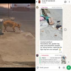 Keluhan Warga Tanamodindi: Anjing Liar Ganggu Ketertiban dan Kebersihan Lingkungan