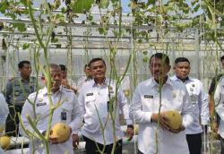 Dirjenpas Panen Raya Buah Melon 800 Kg Hasil Warga Binaan di Lapas Sukamiskin