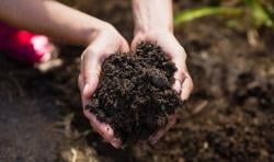 Dorong Ketahanan Pangan, Kadin Indonesia Berikan Pupuk Organik untuk 80 Hektare Sawah di Lebak