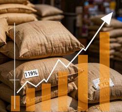 Harga Beras Naik, Pemprov Sulbar Surati Badan Pangan Nasional