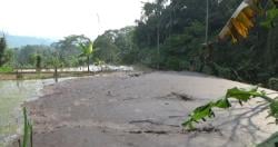 Limbah Kotoran Hewan Peternakan Sapi Jebol, Rusak Hektaran Sawah di Desa Sirnamanah Purwakarta