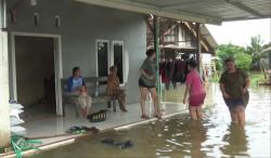Banjir Rob Masih Mengintai 7 Kecamatan di Pati