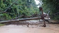 Cuaca Buruk di Batam Tumbangkan Pohon dan Tiang Listrik