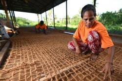 Antam Dorong Green Mining Lewat Program Kelapa Terpadu di Maluku Utara