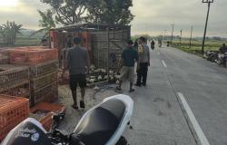 Kecelakaan Tragis di Kabuh Jombang, Truk Muatan Ayam Sasak 6 Motor Hingga Masuk Sungai