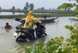 8.230 Hektar Sawah dan Tambak Terendam, Banjir Parah Kepung Lamongan Akibat Luapan Bengawan Jero