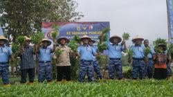Lanud Adisoemarmo Solo Panen Kangkung untuk Suplai Kebutuhan Dapur SPPG