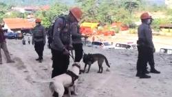 Anjing Pelacak Garda Terdepan Cari Korban di Gunung Kuda, Perempuan Penjual Es Turut Tertimbun