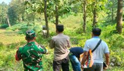 Hilang Sehari, Lansia di Jombang Ditemukan Tewas Gantung Diri di Hutan