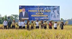 Lapas Kelas IIA Subang Gelar Panen Raya dan Bakti Sosial, Dihadiri Dirjen Pemasyarakatan